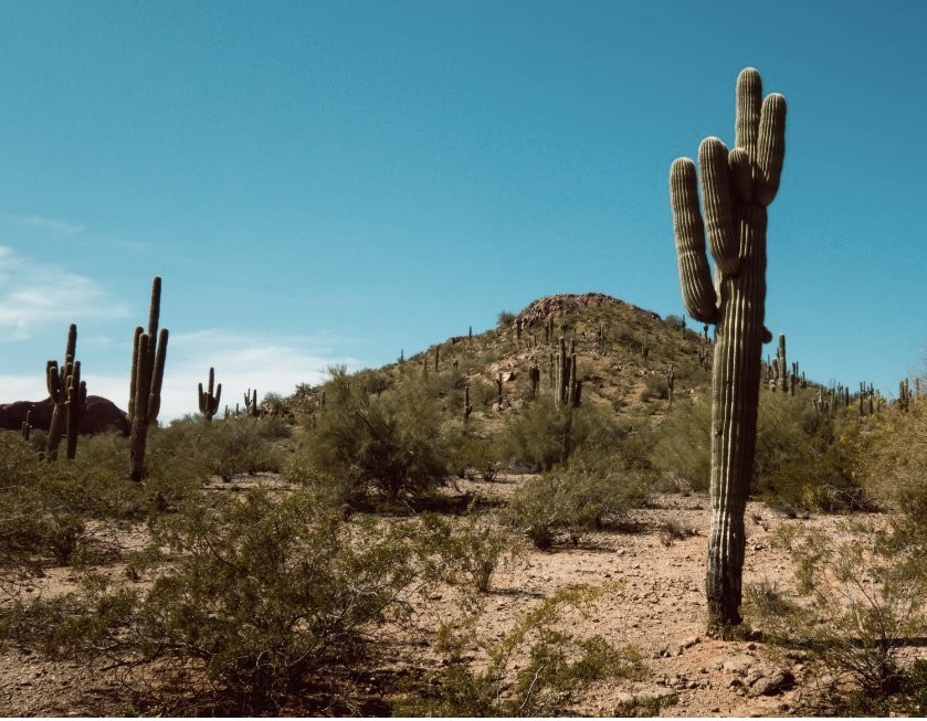 Guns of Eschaton: A Haunting, Essential Farewell (2026)